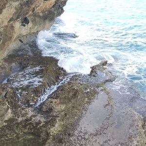 Meet your Posher, Toni